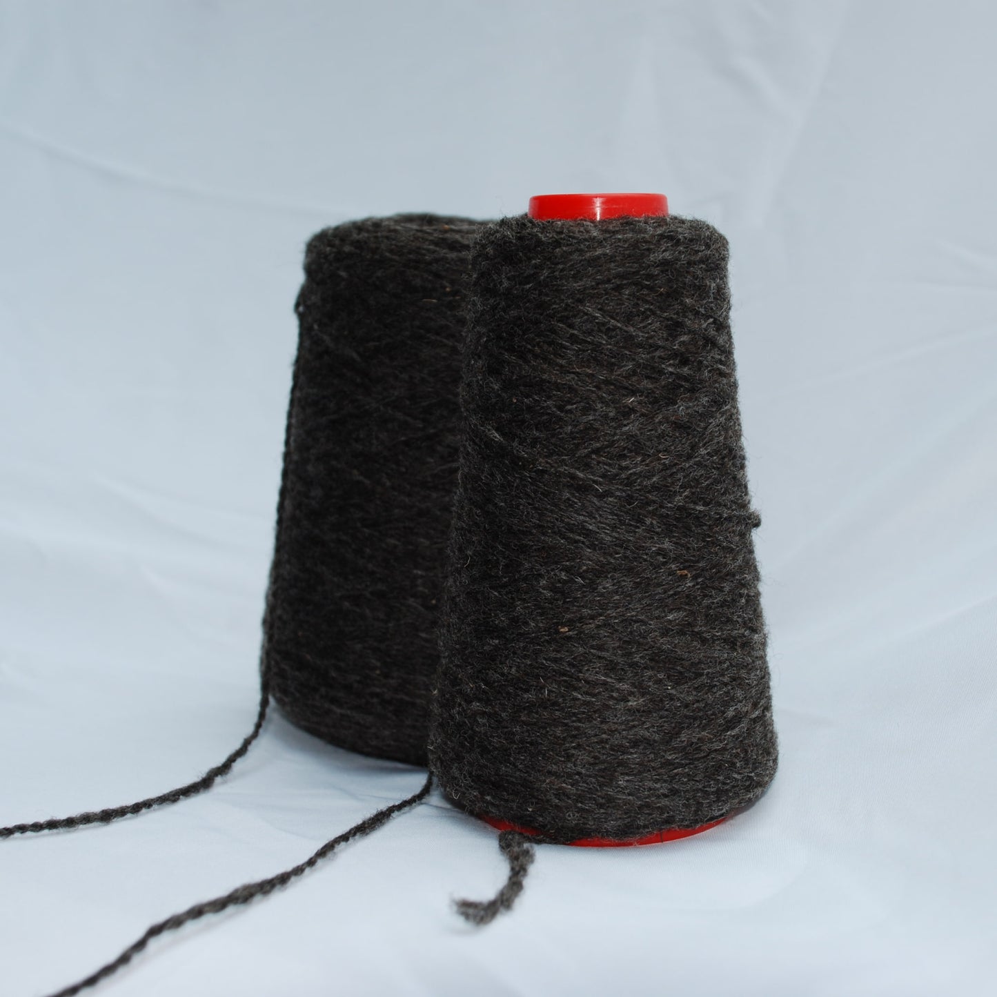 Blue Texel Wool