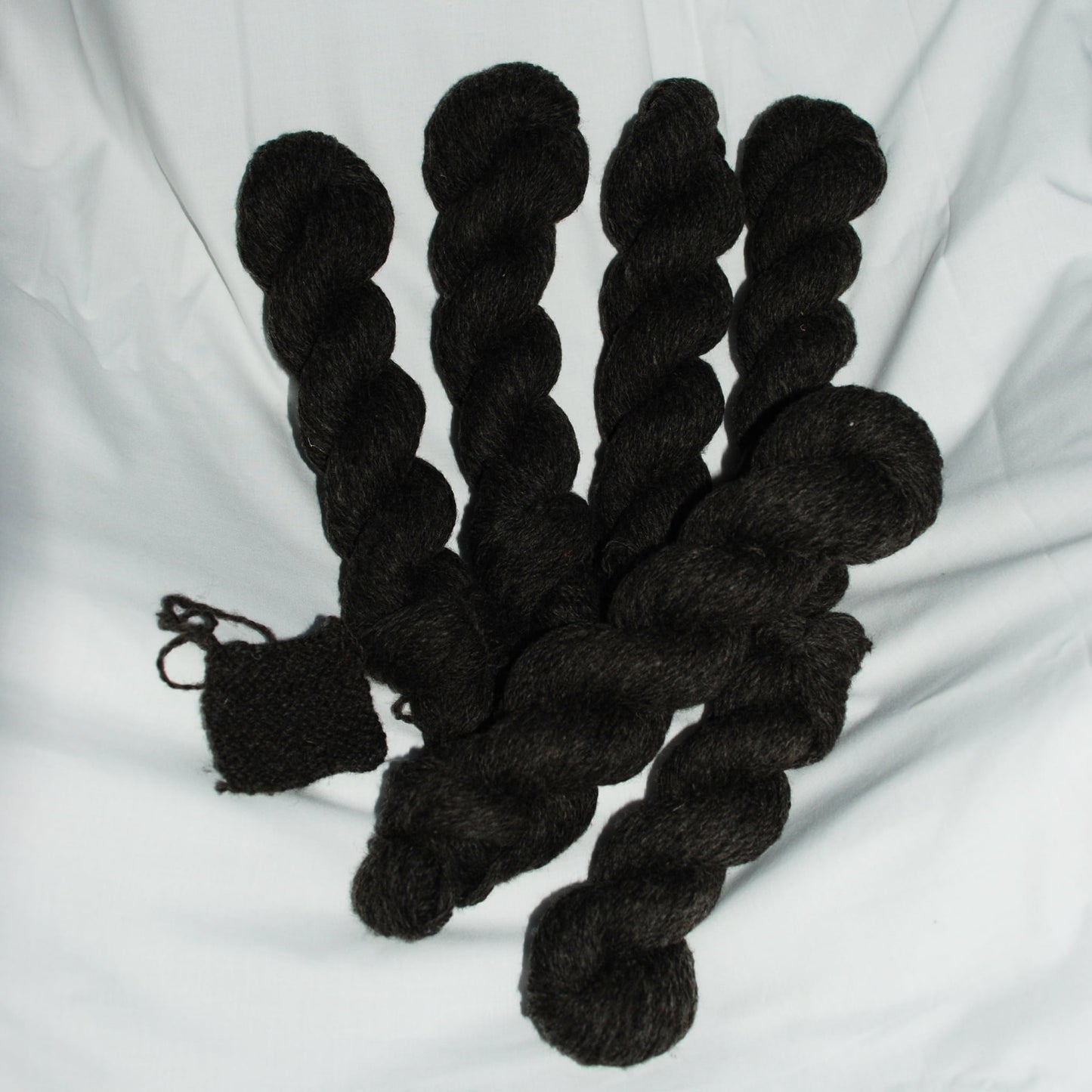 Blue Texel Wool