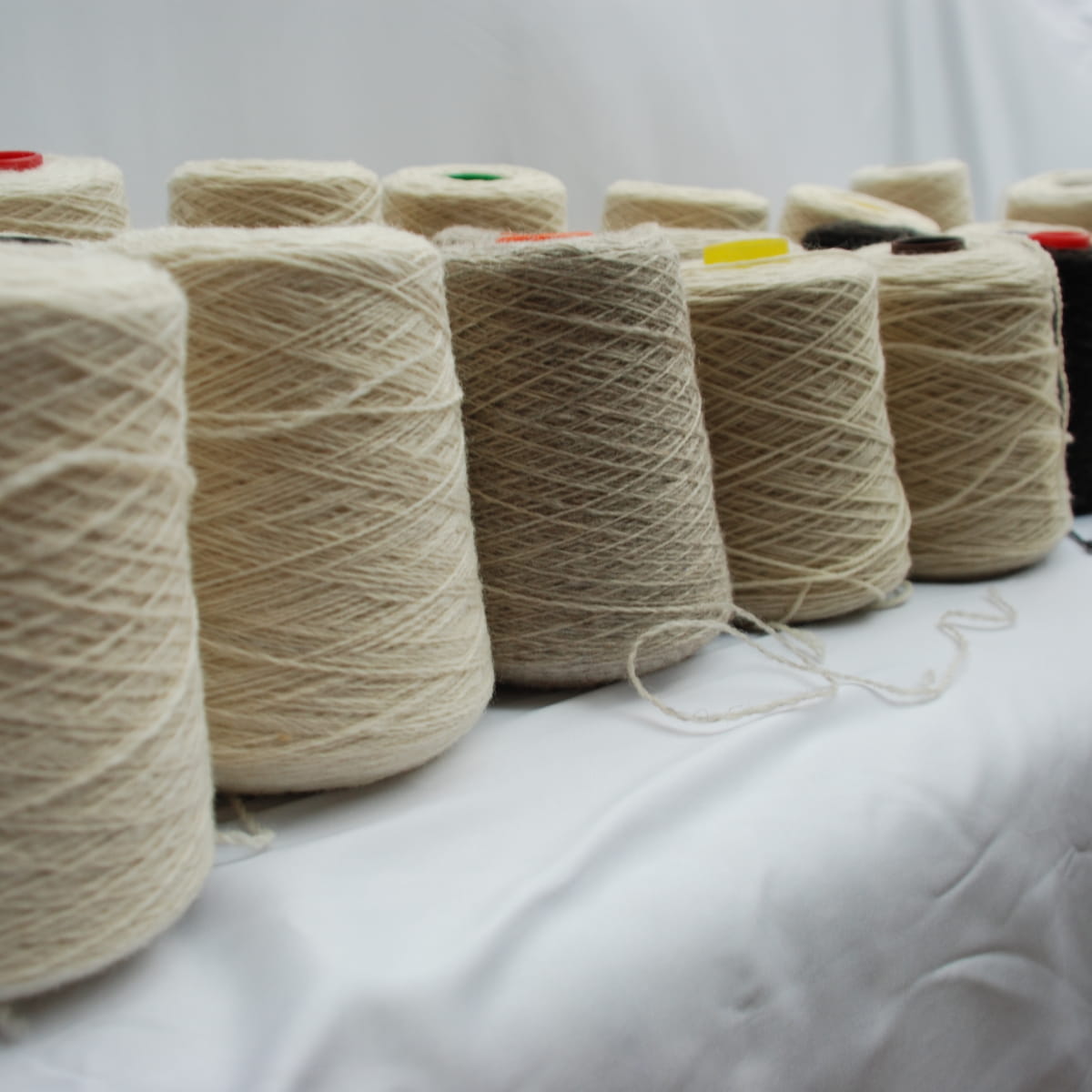 Row of beige yarn spools on a white surface