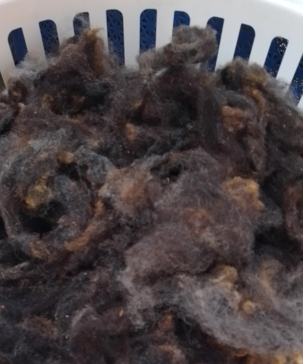 Close-up of gray fibers in a white container with blue interior