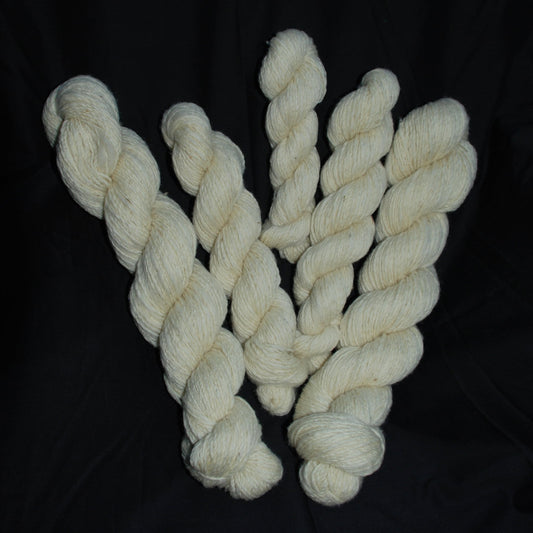 Natural off-white Suffolk wool skeins of arranged in a fan shape on a black background