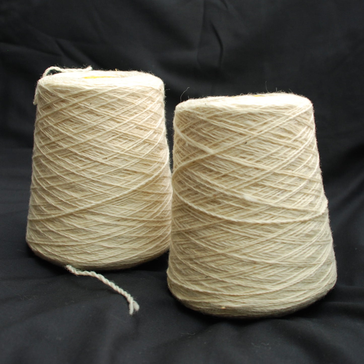 Texel Wool
