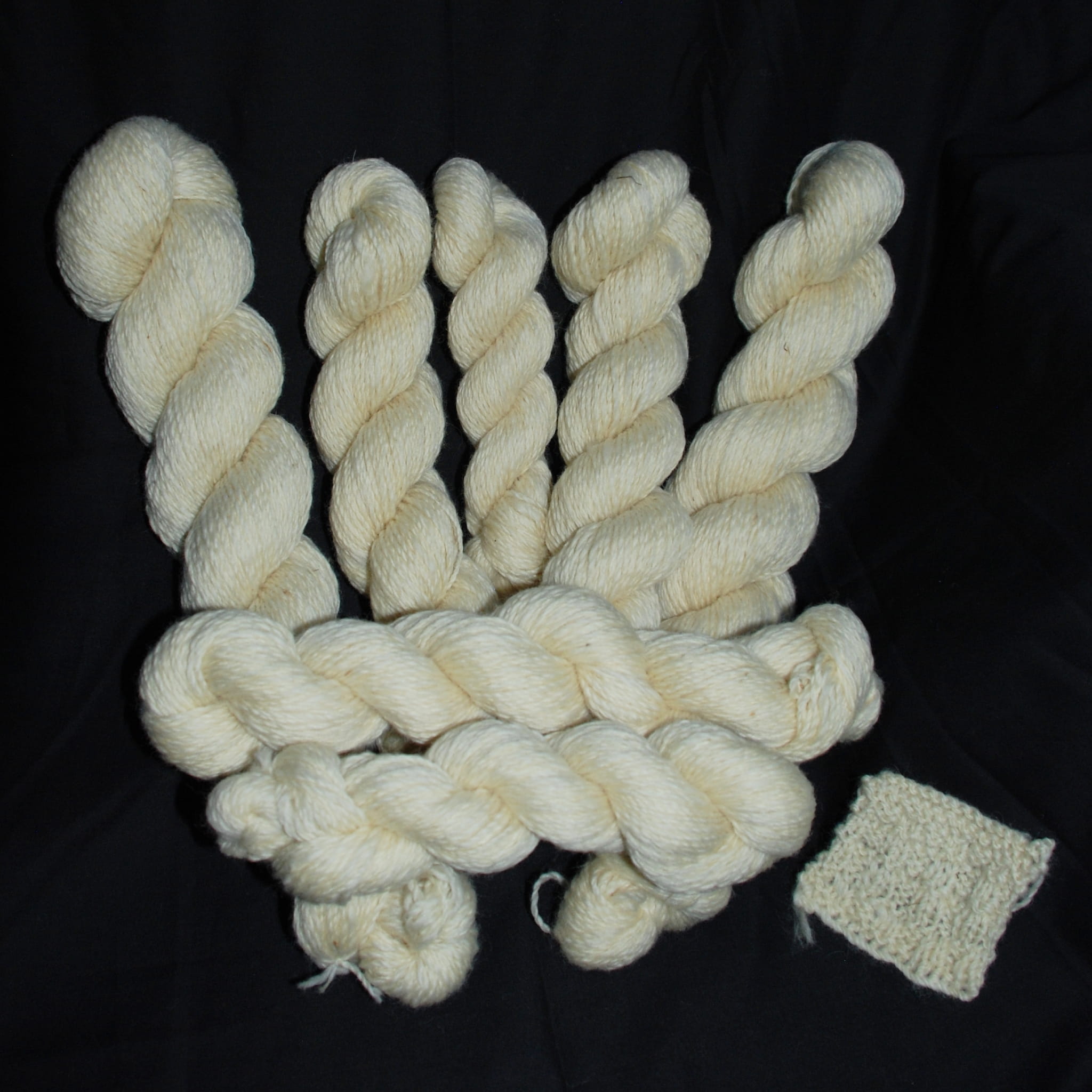 Texel Wool – Cotswold Wool Trader