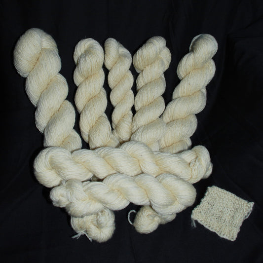 Natutal white Texel wool skeins arranged in a fan shape on a black background